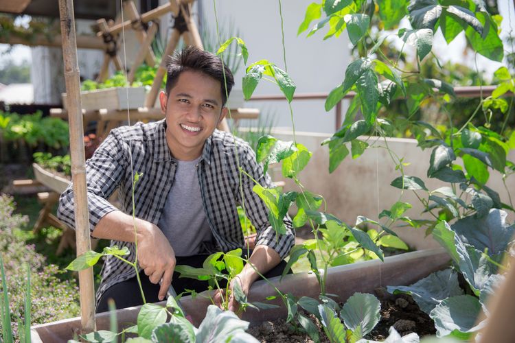 Panduan Praktis Membuat Taman Sayur di Rumah dengan Ruang Terbatas