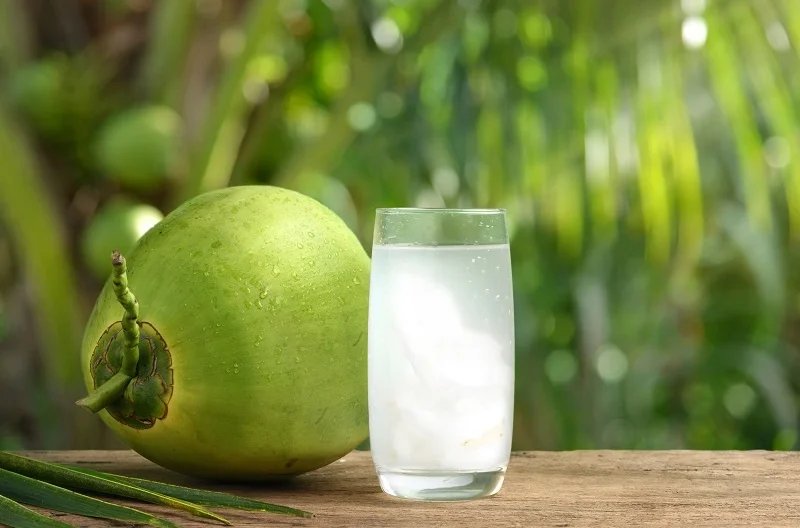 Manfaat Mengonsumsi Air Kelapa